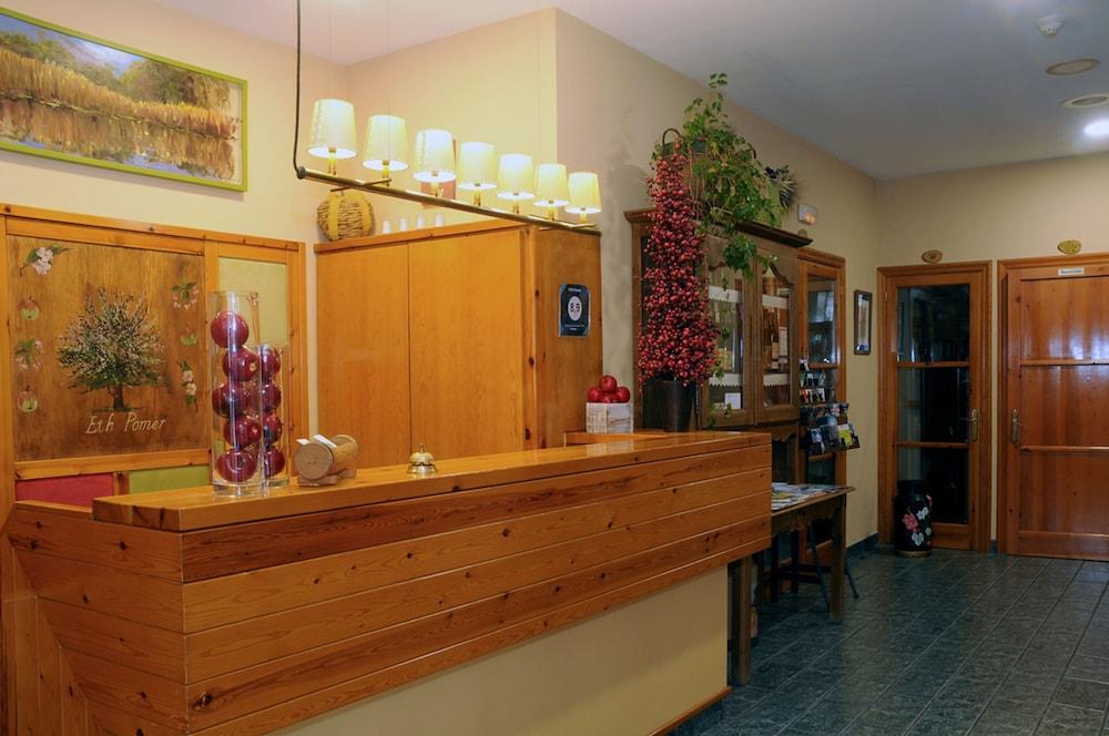 Eth Pomer Hotel Vielha